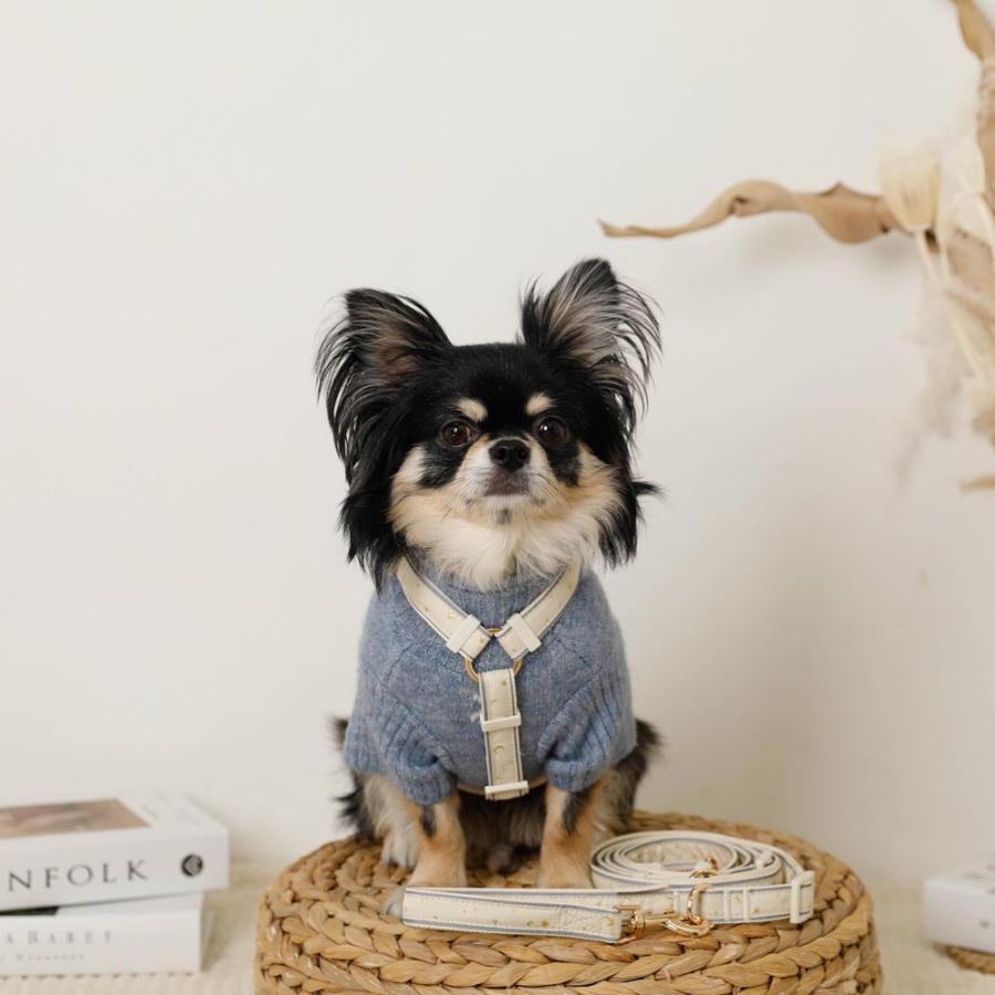 moncheri（モンシェリ） 犬 リード 肩掛け ショルダー たすき掛け 2way