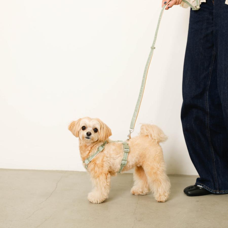 moncheri（モンシェリ） 犬 リード 肩掛け ショルダー たすき掛け 2way