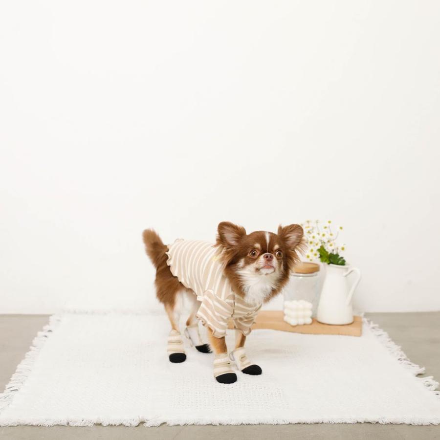 【専用ページ】　moncheri ドッグシューズ　Mサイズ　6個 moncheri（モンシェリ） 犬 靴 シューズ 靴下 ソックス かわいい