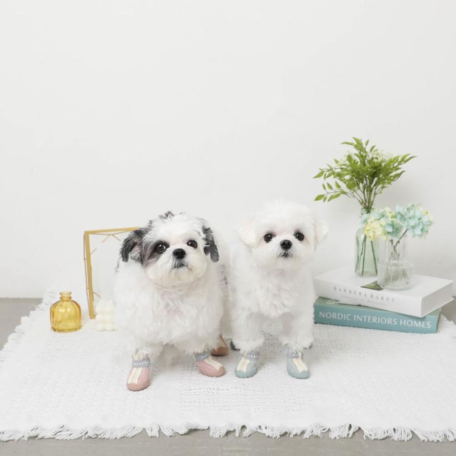moncheri（モンシェリ） 犬 シューズ メッシュ 脱げない 通気性 肉球