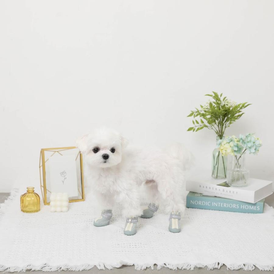 moncheri（モンシェリ） 犬 シューズ メッシュ 脱げない 通気性 肉球