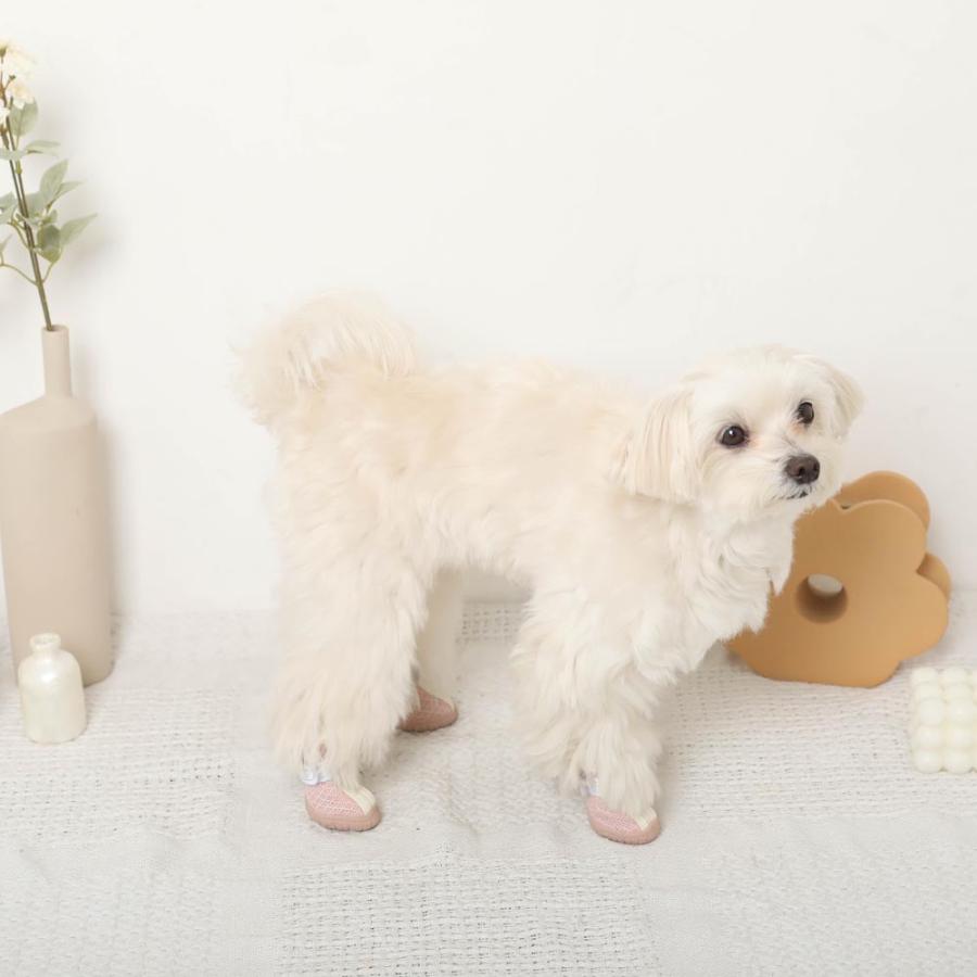 moncheri（モンシェリ） 犬 シューズ メッシュ 脱げない 通気性 肉球