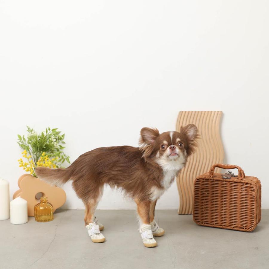 moncheri（モンシェリ） 犬 シューズ ペットシューズ 靴 靴下 メッシュ