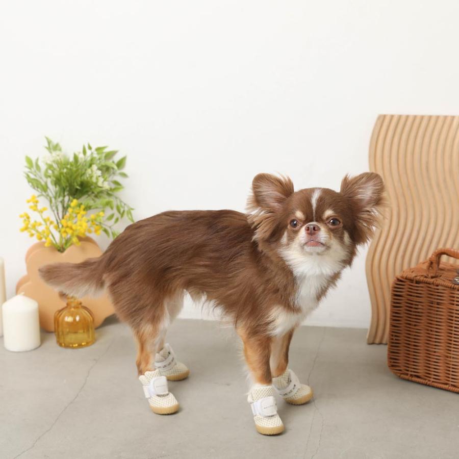 moncheri（モンシェリ） 犬 シューズ ペットシューズ 靴 靴下 メッシュ