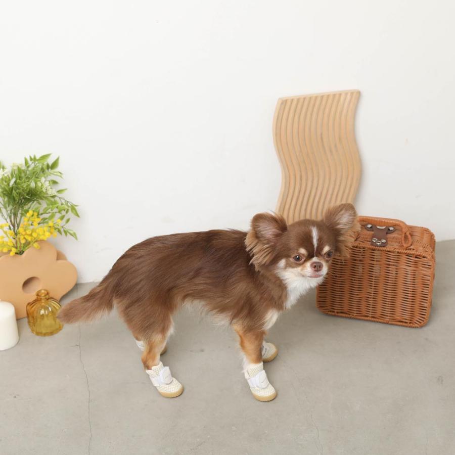 moncheri（モンシェリ） 犬 シューズ ペットシューズ 靴 靴下 メッシュ