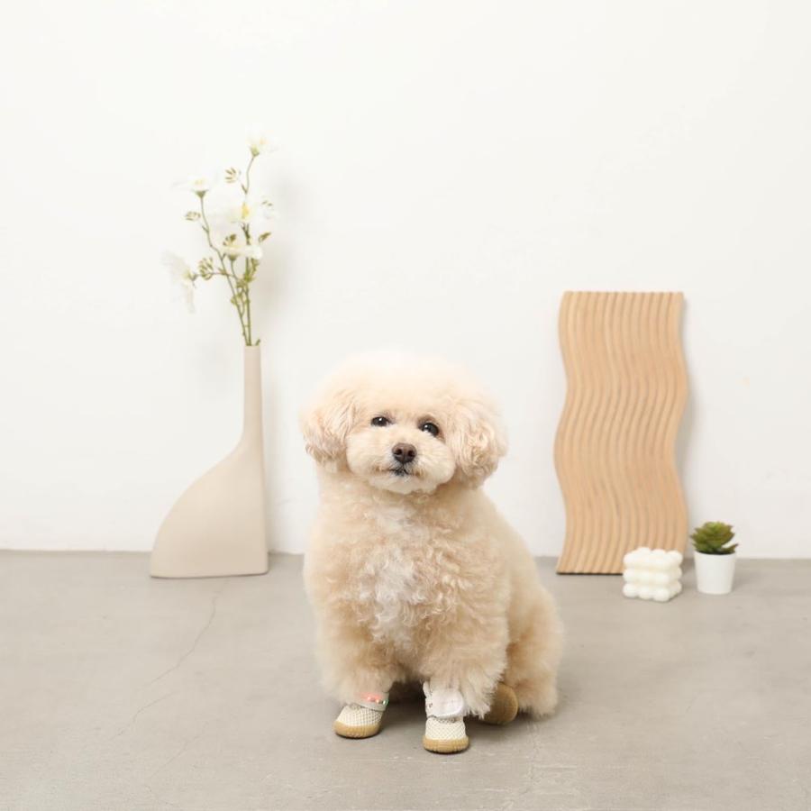 moncheri（モンシェリ） 犬 シューズ ペットシューズ 靴 靴下 メッシュ
