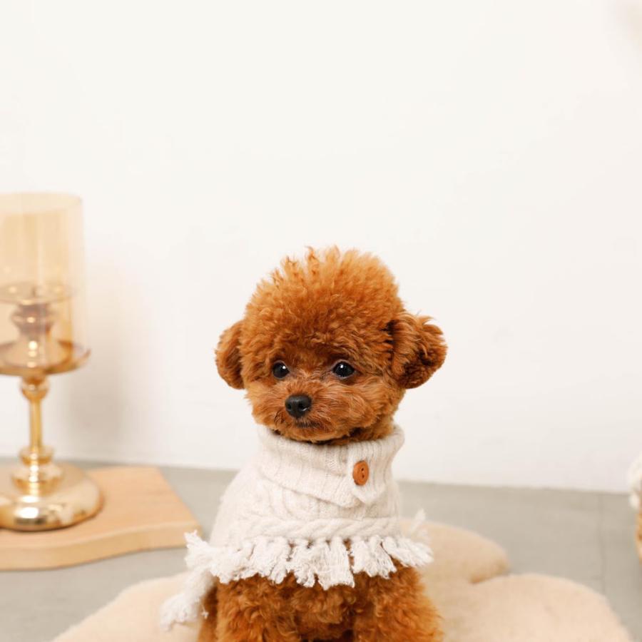 moncheri（モンシェリ） 犬 服 ドッグウェア ニット かわいい おしゃれ