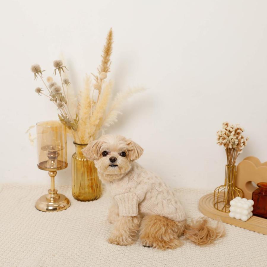 moncheri（モンシェリ） 犬 服 ドッグウェア セーター・ニット