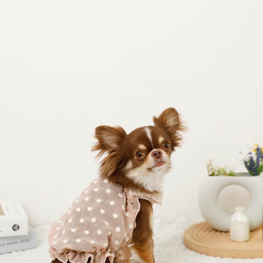 犬服 GG ローラ キャミソール チアーズキャミソール | ALL（全ての商品） | LIFE LIKE 【犬服グッズ
