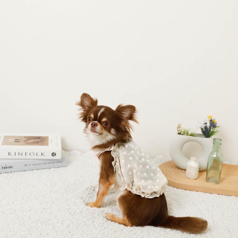 moncheri（モンシェリ） 犬 服 ドッグウェア キャミソール かわいい