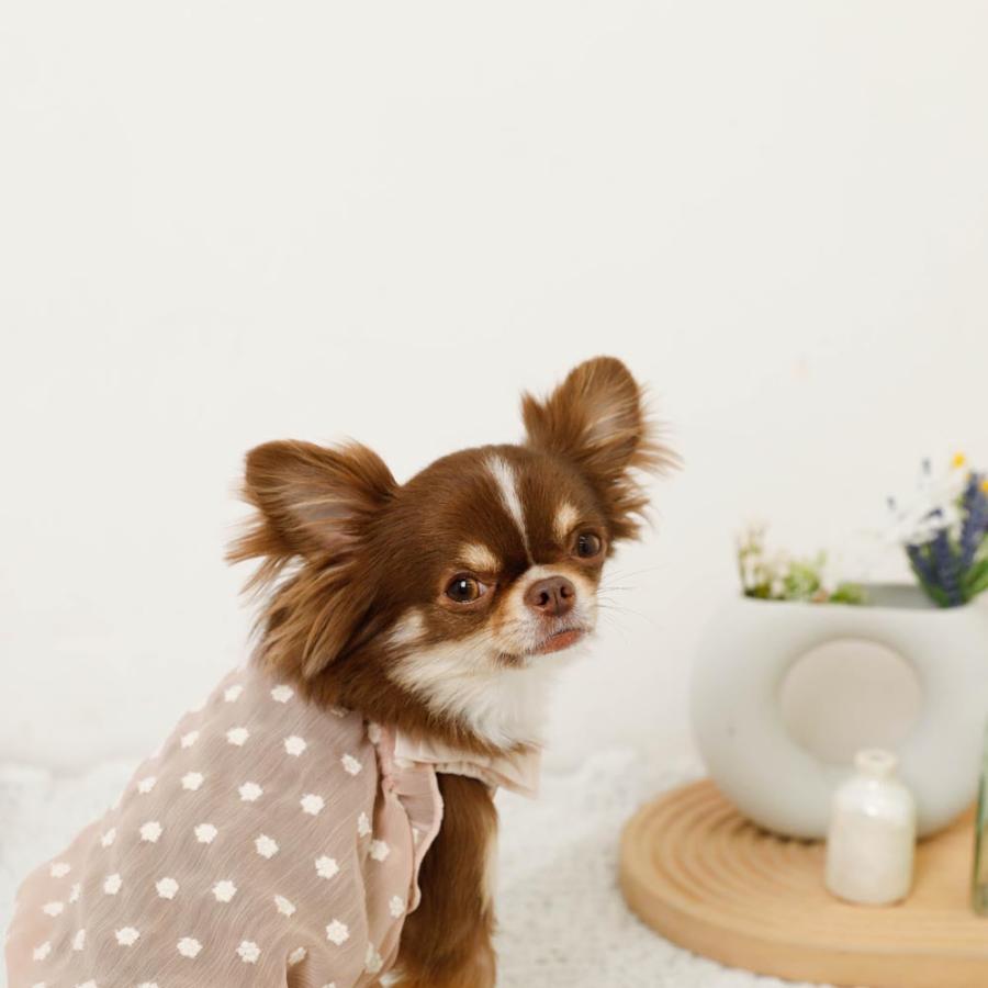 moncheri（モンシェリ） 犬 服 ドッグウェア キャミソール かわいい