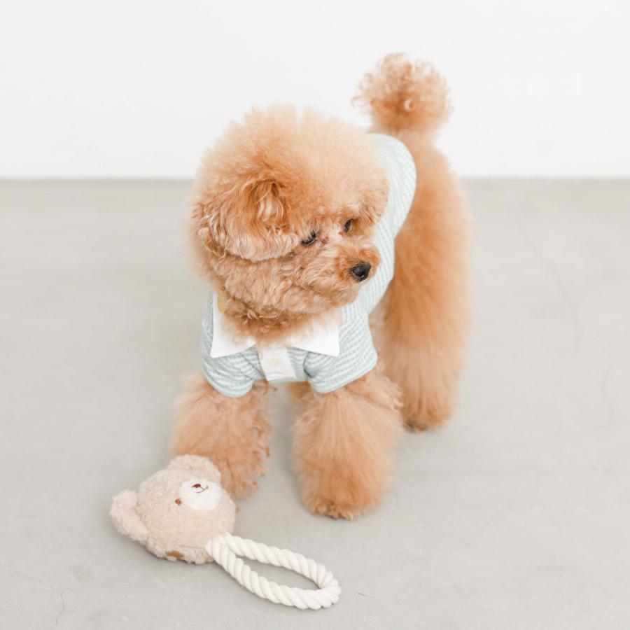 moncheri モンシェリ 犬 おもちゃ ロープ かわいい おしゃれ 人気 ブランド トイプードル チワワ 小型犬 中型犬｜moncheri-dog｜04