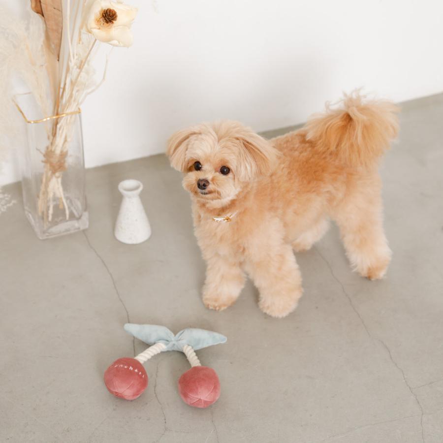 moncheri（モンシェリ） 犬 おもちゃ 玩具 噛む ペットトイ ロープ