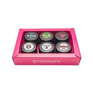 PREGEL（プリジェル） カラーＥＸ サファリシリーズ　６色セット PREGEL（プリジェル） カラーEX サファリシリーズ 6色セット