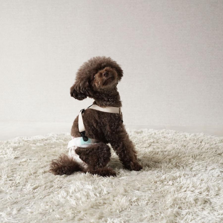 ズレヘンダー マナーウェア マナーベルト 老犬用　犬用サスペンダー 犬サスペンダー ずれない  おむつ マナーパンツ 日本製　しつけ サニタリー 老犬介護  爆買 | ブランド登録なし | 20