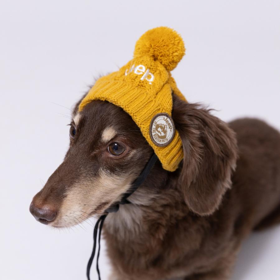 TENDERLOIN T-JEEPニット帽 Jeep Beanie - JustForJeeps.com