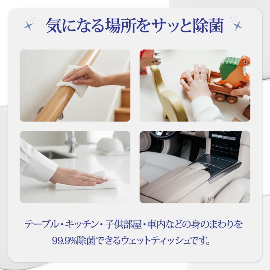 Nisyo 【24個 / 9個 / 3個 / 1個】 大判 厚手 アルコール 除菌