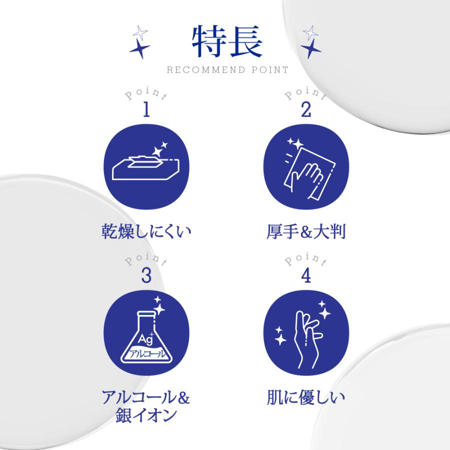 Nisyo 【24個 / 9個 / 3個 / 1個】 大判 厚手 アルコール 除菌