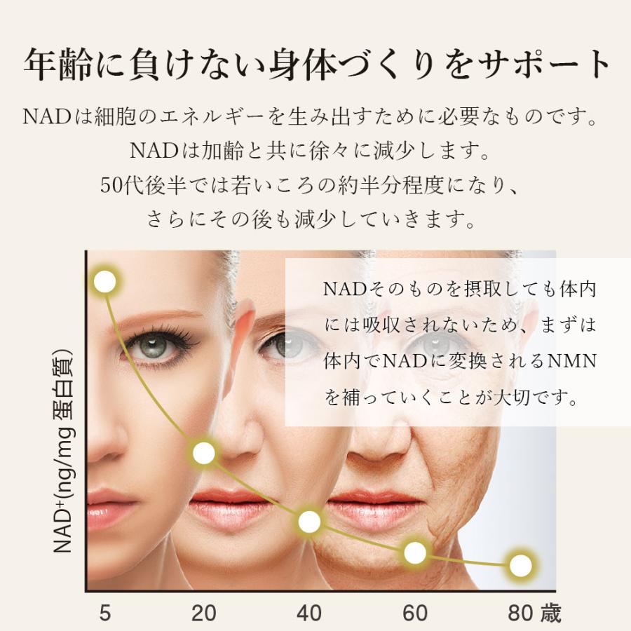 激安○4点セット○ パワーアップ品○NMN○サイズダウン サプリ○ NMN