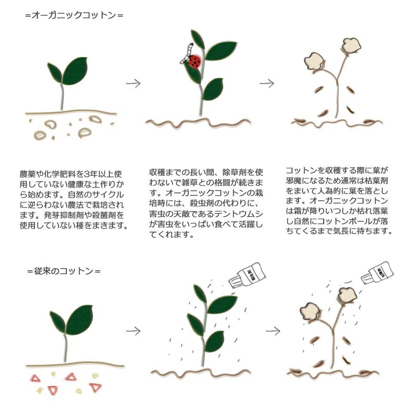 子供服 肌着男の子トップスオーガニック 日本製50cm60cm新生児短肌着日本製保育園 ベビー服 赤ちゃん |  | 03