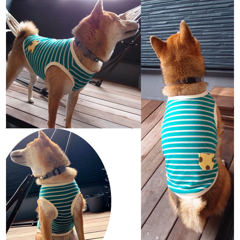 犬服　ドッグウェア　dogwear　リンクコーデ　タンクトップ（S.M.L.DS.FB-M）ペット服　猫服 |  | 07