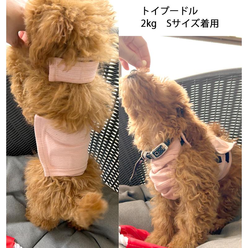 日本製 小型犬　ホルターネック腹巻犬服　ずれない腹巻　散歩の泥除けに　エプロンドッグウェア（S.M.L）ペット服 速乾 蒸れない 背中開き9714肌に優しい敏感肌 |  | 10