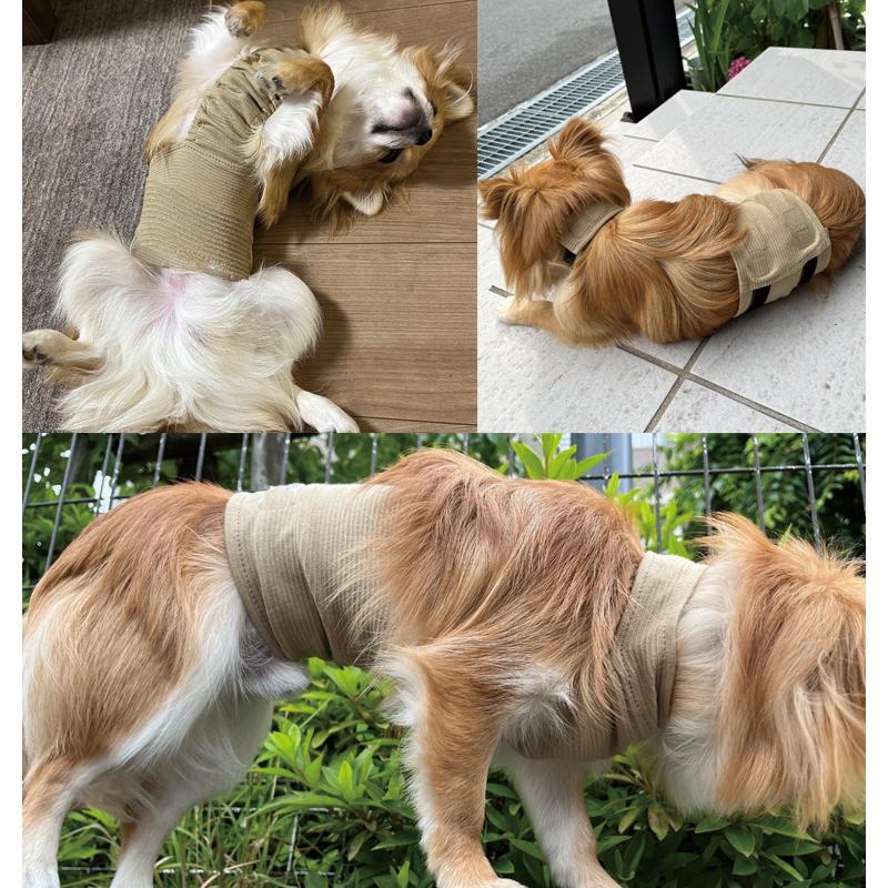 日本製 小型犬　ホルターネック腹巻犬服ずれない散歩の泥除けにエプロンドッグウェア（S.M.L）ペット服　伸縮 速乾 蒸れない背中開き　9714　肌に優しい |  | 02