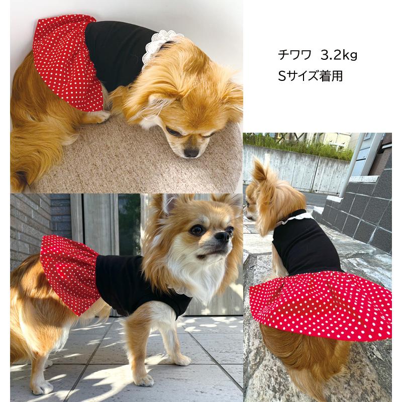 　犬服　ドッグウェア　dogwear　チェック　ドット　ペット服　猫服　リンクコーデ　スカート付きワンピース　タンクトップ（S.M.L.DS.FB-M） |  | 02