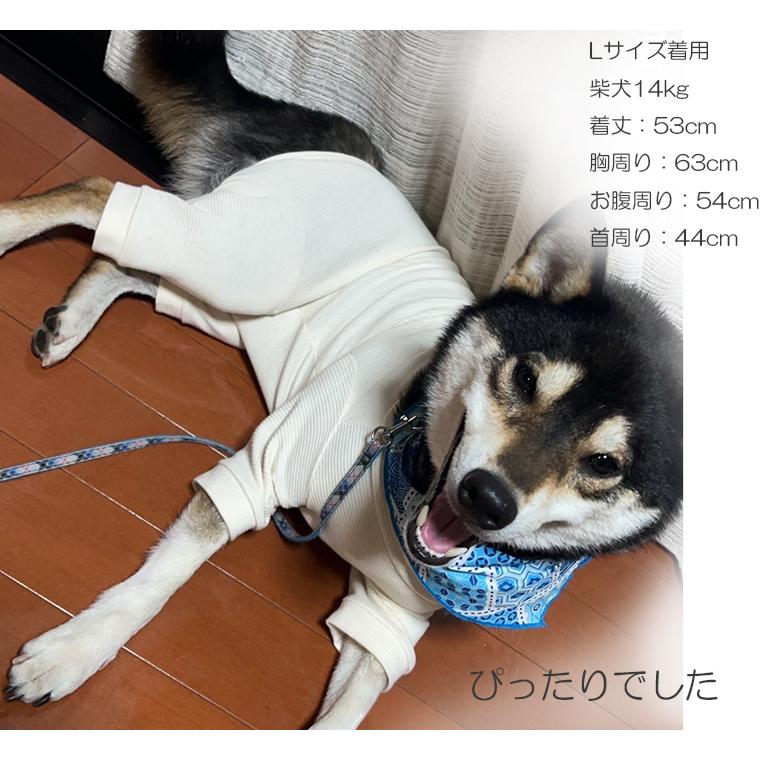 犬用ロンパース｜敏感肌・アレルギー対応｜ストレッチ素材・シニア犬