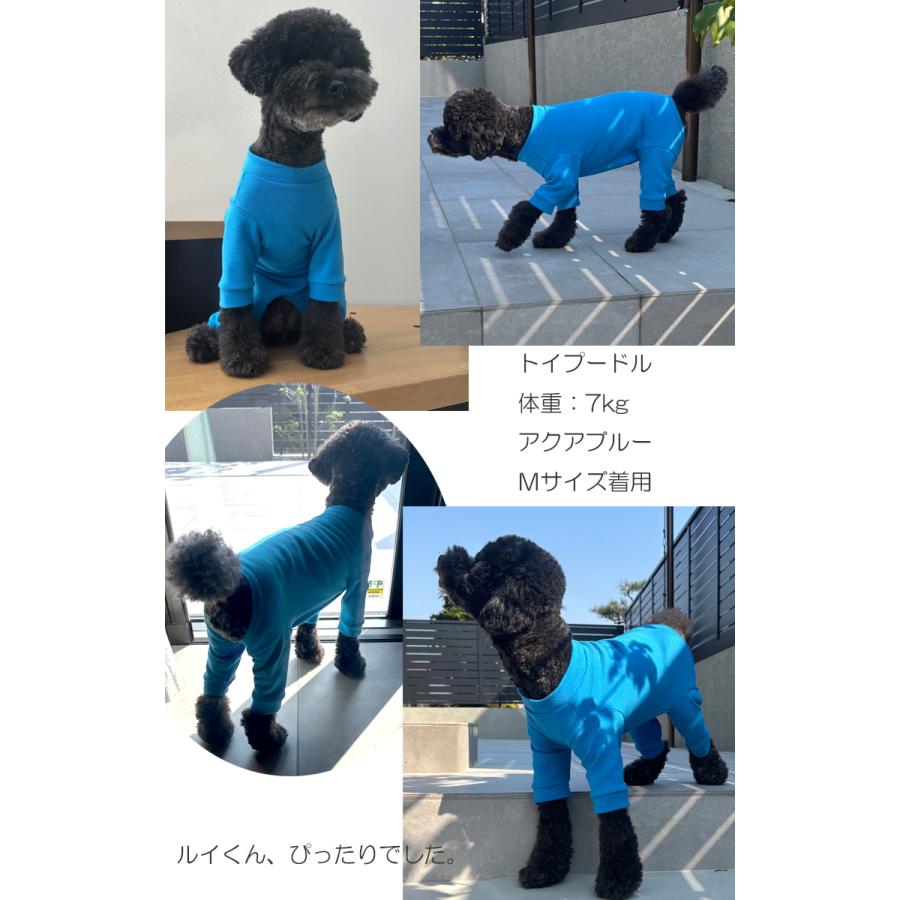 犬用ロンパース｜敏感肌・アレルギー対応｜ストレッチ素材・シニア犬