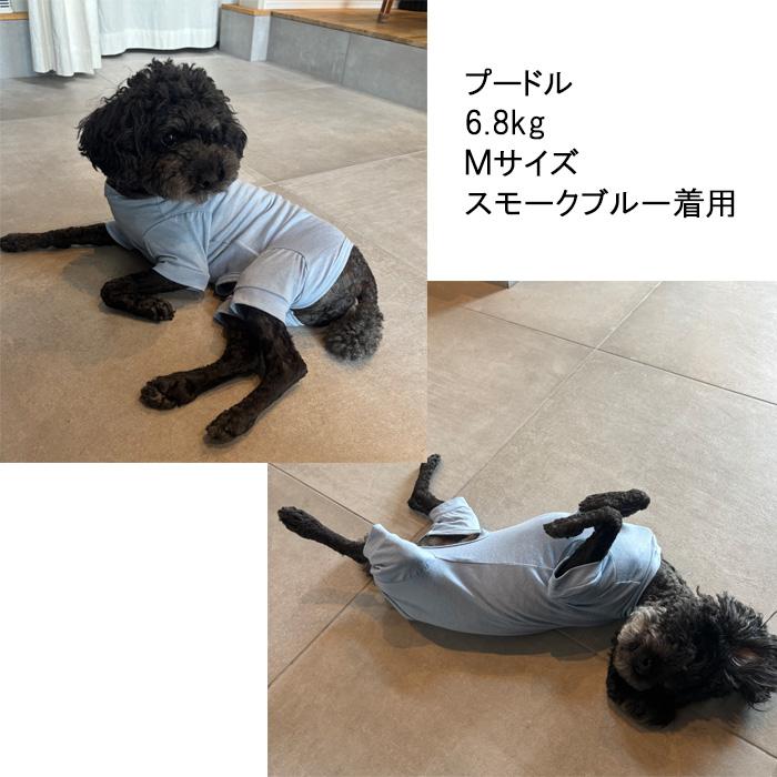 ロンパース敏感肌・防蚊対策接触冷感ロンパース 着るひんやり綿モダール×無地 半袖UVカット加工ドッグウェアdogwear（S.M.L）7550クール肌に優しい |  | 01