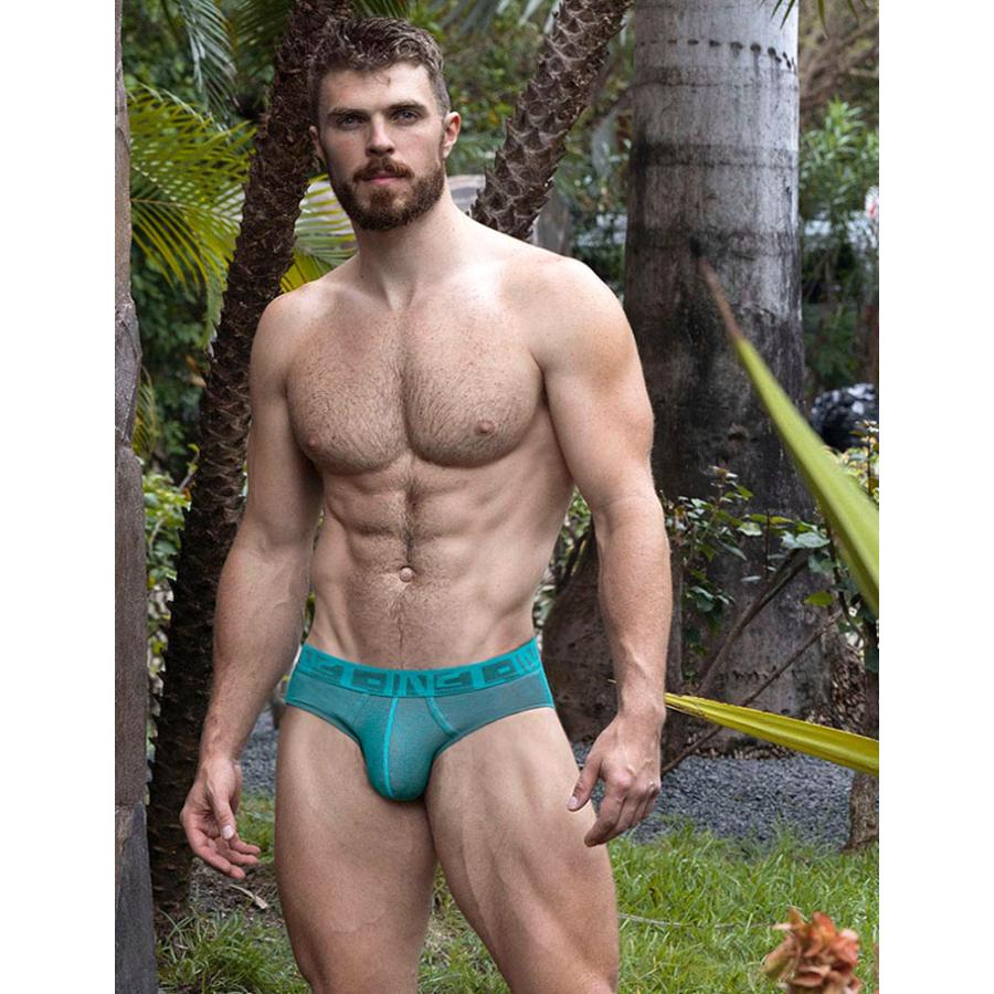 ブリーフ メンズ ローライズブリーフ C-IN2 UNDERTONE LOWRISE PROFILE BRIEF ローライズ ビキニブリーフ リブコットン シーインツー CIN2 下着 男性 セクシー | C-IN2 | 13