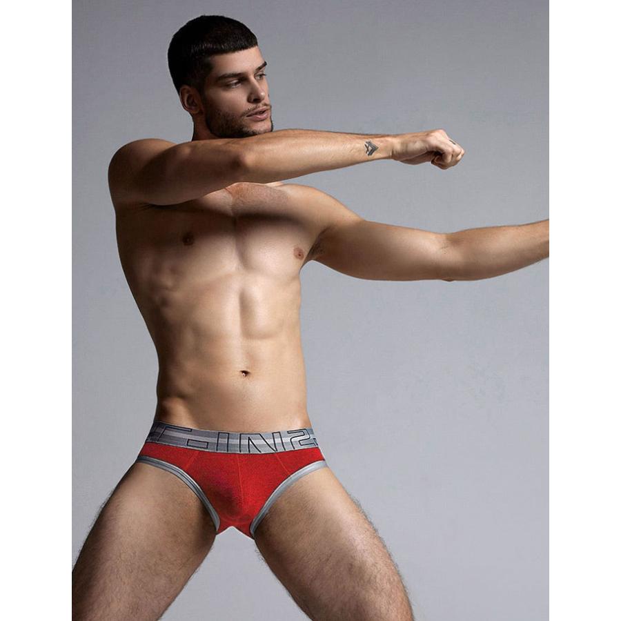 ブリーフ メンズ ローライズブリーフ C-IN2 ZEN SLIDER ローライズ ビキニブリーフ メッシュ シーインツー CIN2 下着 男性 セクシー | C-IN2 | 18