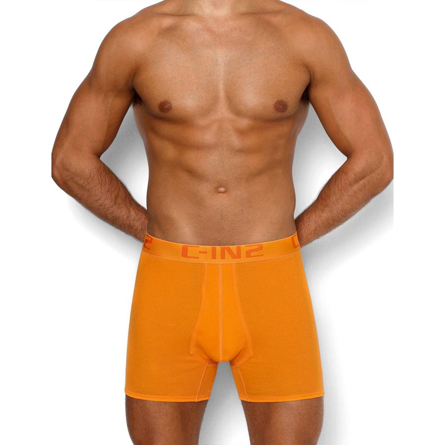 ボクサーパンツ メンズ ロングボクサーパンツ メンズ C-IN2 CORE MID RISE BOXER コットン 100% 綿 シーインツー CIN2 下着 男性 セクシー |  | 06