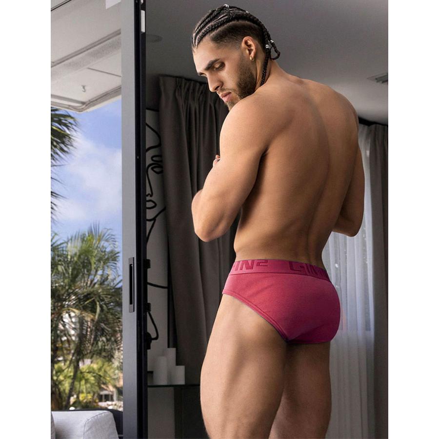 ブリーフ メンズ ローライズブリーフ C-IN2 CORE ローライズ ビキニブリーフ コットン 100% 綿 シーインツー CIN2 下着 男性 セクシー | C-IN2 | 29