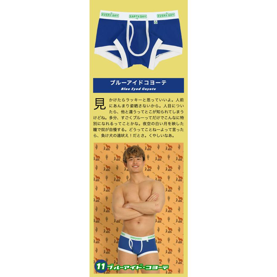 ボクサーパンツ メンズ 前開きローライズ 日本製 コットン 綿 ヒーローカラーズ EARTH-DAY EVERY-DAY カラフル 下着 男性 ブランド プレゼント | ヒーローカラーズ | 19