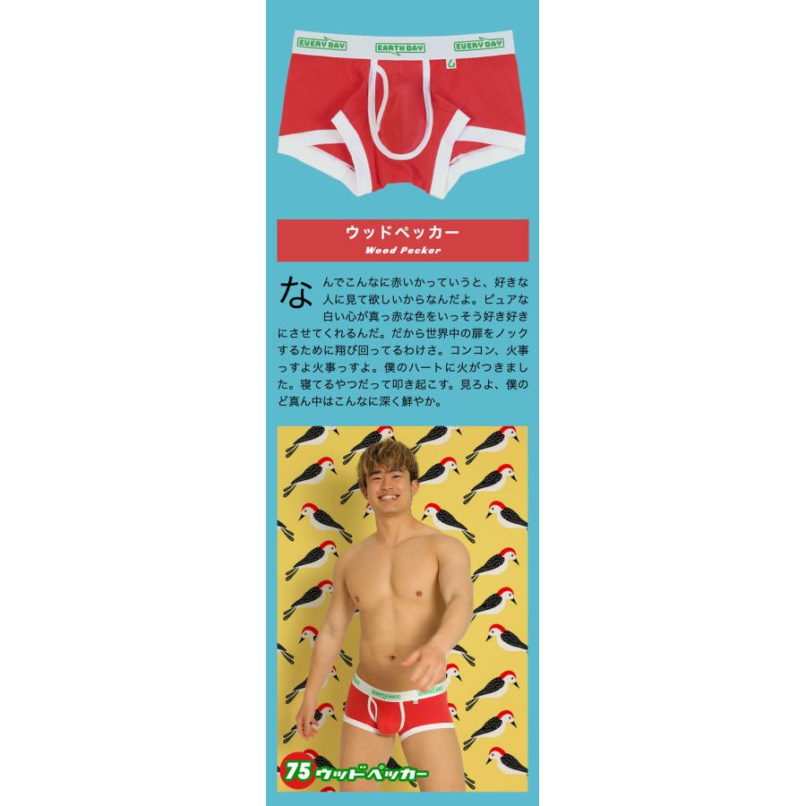 ボクサーパンツ メンズ 前開きローライズ 日本製 コットン 綿 ヒーローカラーズ EARTH-DAY EVERY-DAY カラフル 下着 男性 ブランド プレゼント | ヒーローカラーズ | 22