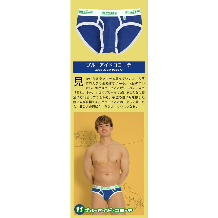 ブリーフ メンズ 前開き ローライズ 日本製 コットン 綿 ヒーローカラーズ EARTH-DAY EVERY-DAY カラフル パンツ 下着 男性 ブランド プレゼント | ヒーローカラーズ | 19
