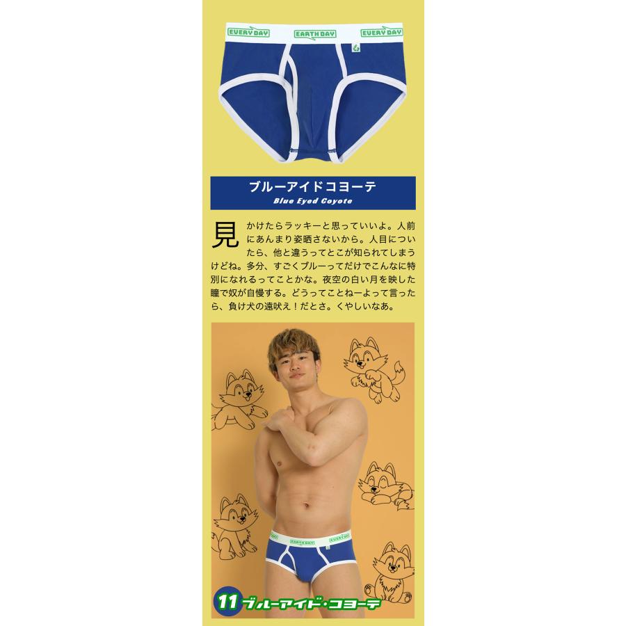 クラシックブリーフ スタンダードブリーフ メンズ 前開き 日本製 コットン 綿 ヒーローカラーズ EARTH-DAY EVERY-DAY カラフル パンツ 下着 ブランド プレゼント | ヒーローカラーズ | 19