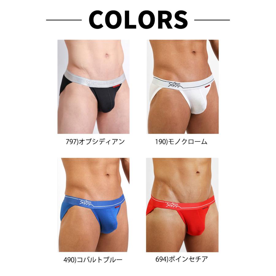スポーツブリーフ メンズ ストライダー UNDERSTAND アンダースタンド STAND-BY-SIDE ローライズ モダール 無地 パンツ 下着 男性 ブランド プレゼント | アンダースタンド | 22