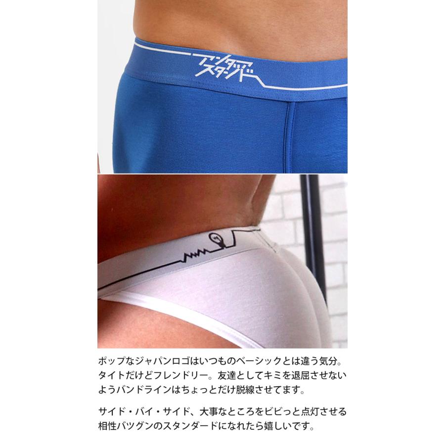 ブリーフ メンズ ローライズブリーフ UNDERSTAND アンダースタンド STAND-BY-SIDE ビキニブリーフ モダール 無地 パンツ 下着 男性 ブランド プレゼント | アンダースタンド | 08