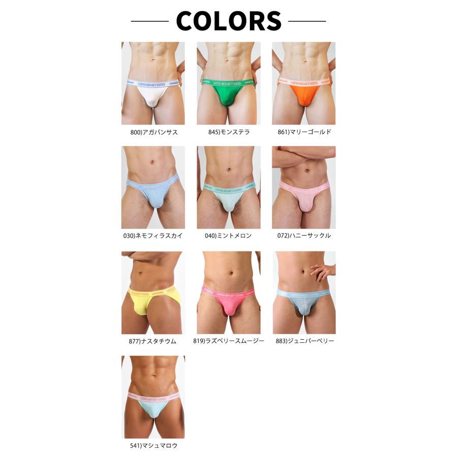 スポーツブリーフ メンズ ストライダー UNDERSTAND アンダースタンド STAMPED スタンプト ローライズ コットン 綿 パステルカラー パンツ 下着 男性 ブランド | アンダースタンド | 28