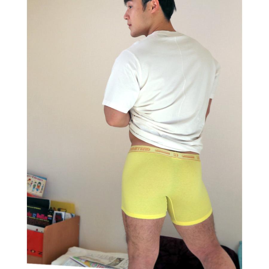 ロングボクサーパンツ メンズ UNDERSTAND アンダースタンド STAMPED モモフィッター ボクサーブリーフ コットン 綿 パステルカラー 下着 男性 ブランド | アンダースタンド | 23