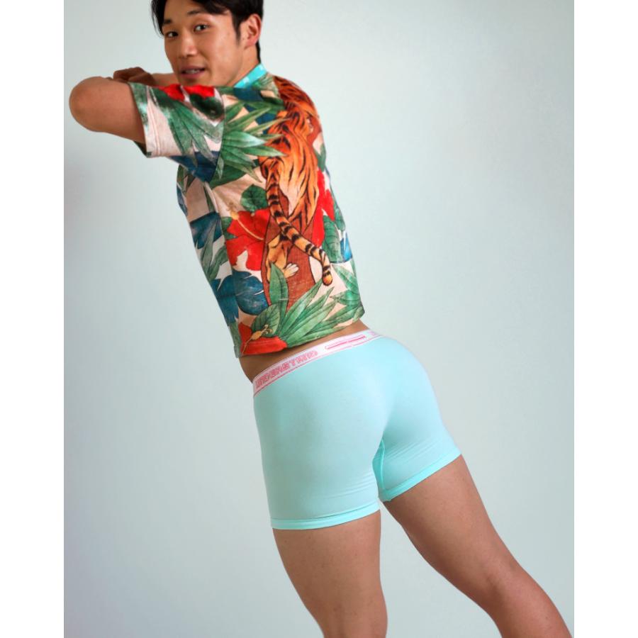 ロングボクサーパンツ メンズ UNDERSTAND アンダースタンド STAMPED モモフィッター ボクサーブリーフ コットン 綿 パステルカラー 下着 男性 ブランド | アンダースタンド | 25