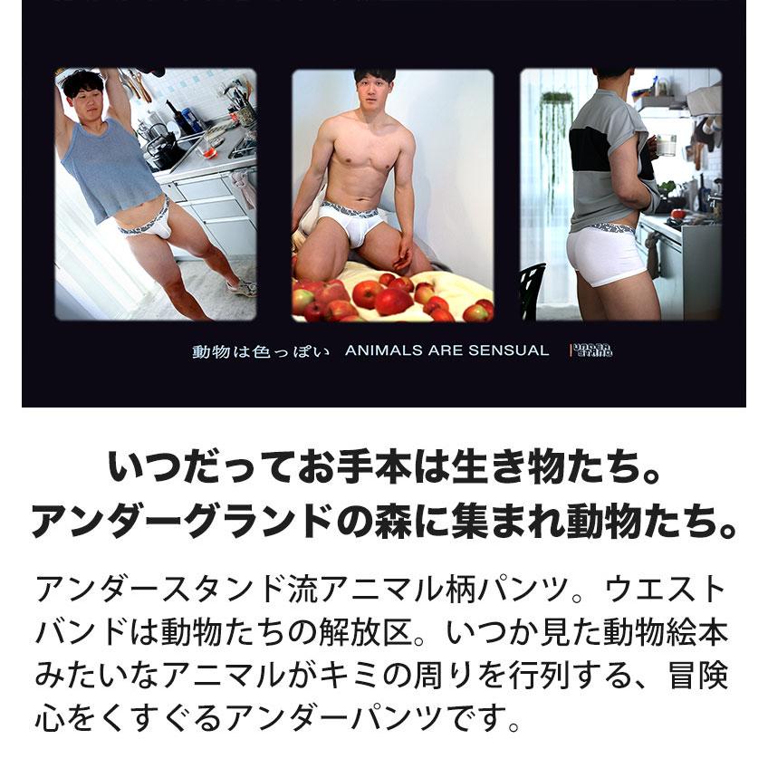 ブリーフ メンズ ローライズブリーフ UNDERSTAND アンダースタンド ZOO-PANTS ズーパン ビキニ アニマル柄 モダール パンツ 下着 男性 ブランド プレゼント | アンダースタンド | 04