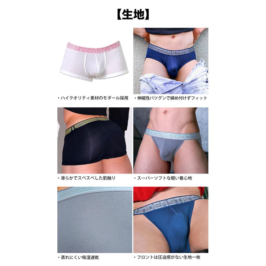 スポーツブリーフ メンズ ストライダー UNDERSTAND アンダースタンド STROBESCOPE ストロボ ローライズ モダール パンツ 下着 男性 ブランド プレゼント | アンダースタンド | 16