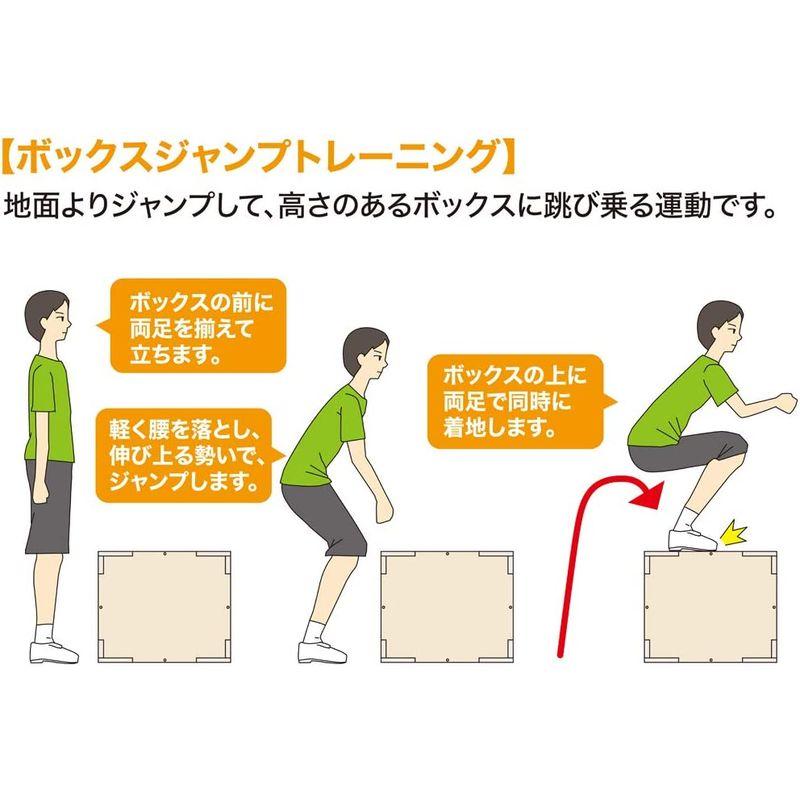 【訳あり品】 秦運動具工業 プライオボックス(ジャンプボックス) PBJ2000 木製 PYLO BOX 【TM7220219514】(25837円)