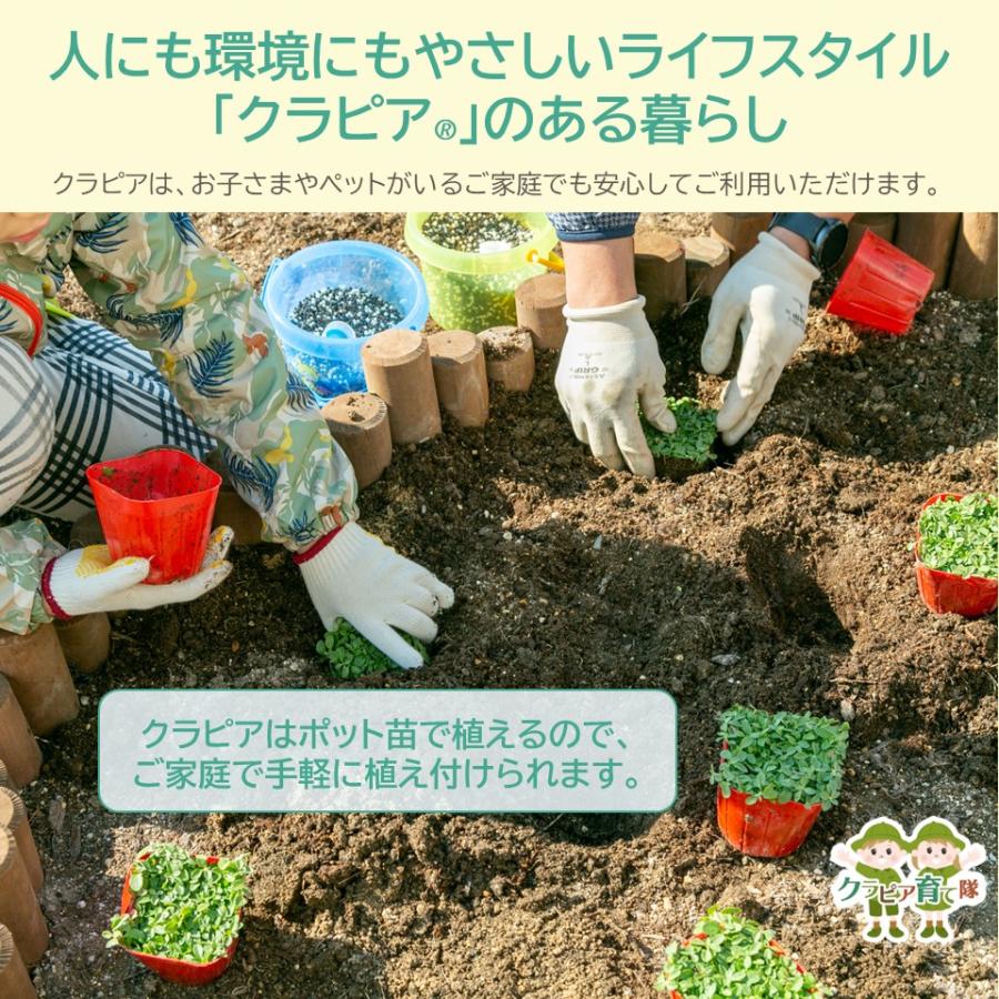 GARDENAスコップ ＋ クラピアK3 ポット苗 20個 肥料セット 送料無料 苗