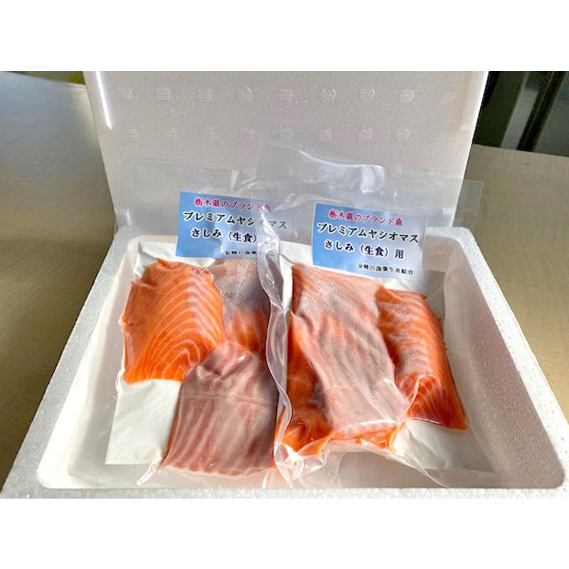 プレミアムヤシオマスの刺身 送料無料 マス ます 鱒 サーモン ご当地サーモン ブランド魚 高級魚 魚 川魚 鮭 お取り寄せ グルメ 金精川漁業生産組合 Bk 1229 もんみや通販 通販 Yahoo ショッピング