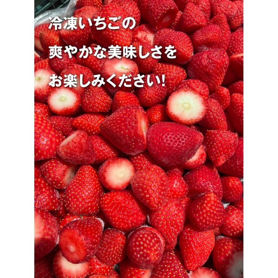 冷凍いちご 中 2kg とちあいか 栃木県産 イチゴ 苺 業務用 お取り寄せ